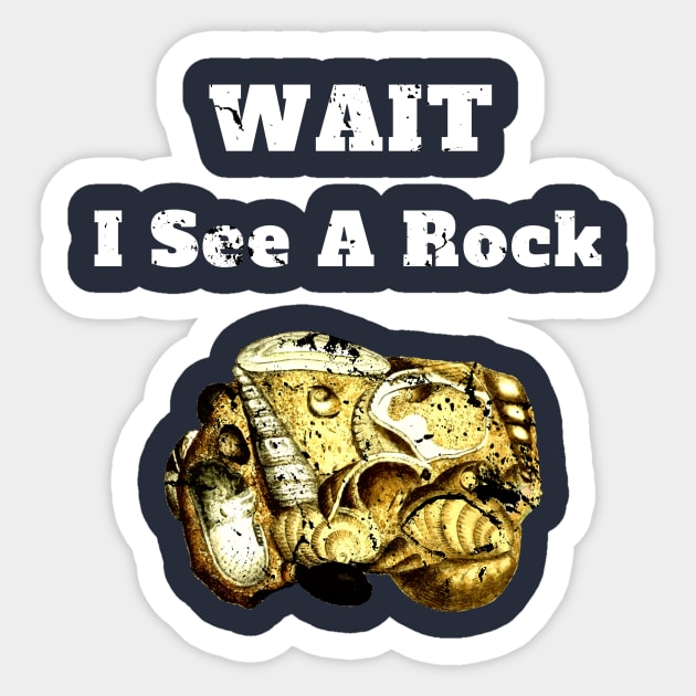 Wait I See A Rock Geology Fan Gift Sticker by klimentina